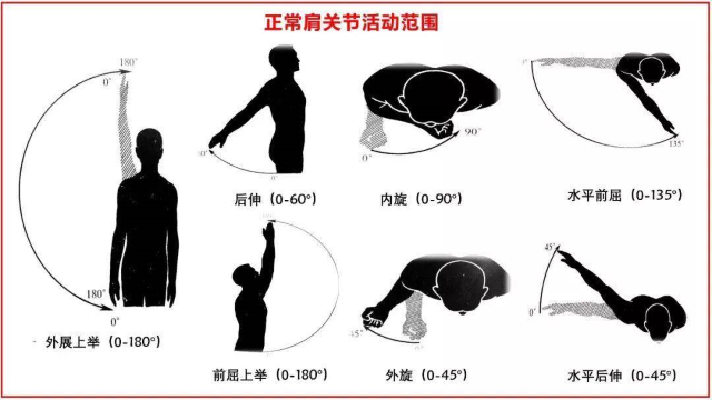 正常肩關(guān)節(jié)活動范圍