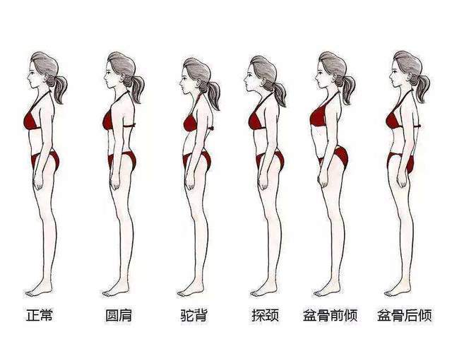 體態對比圖